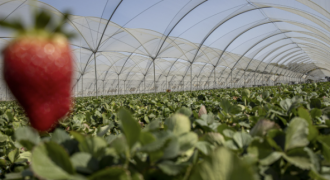 Private Equity Shifts from Cost-Cutting to Value Creation 